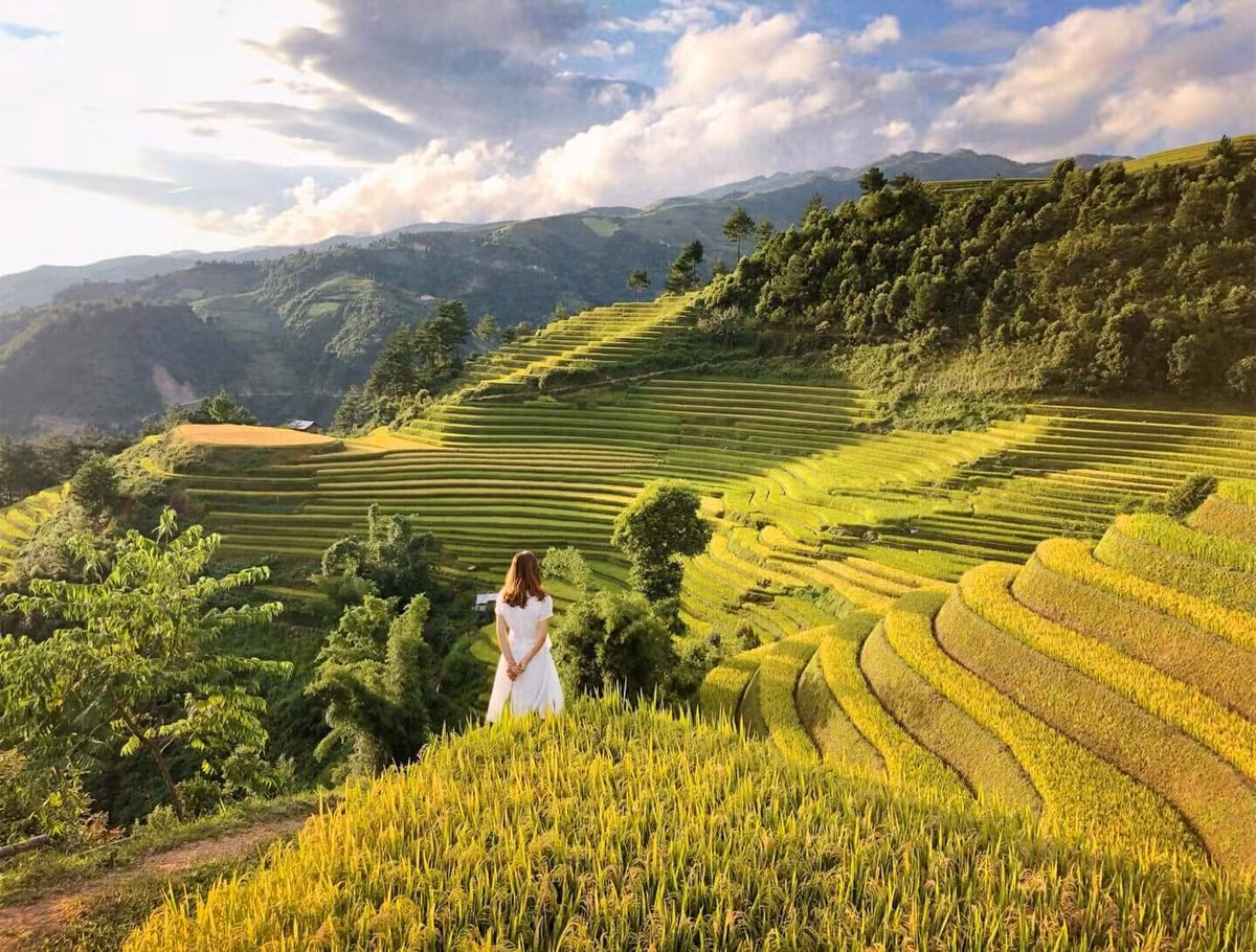 Nhờ việc phát triển du lịch nên tại Mù Cang Chải đã xuất hiện không ít homestay, nhà nghỉ, khách sạn cho khách du lịch lưu trú. Mặc dù số lượng nhà nghỉ ở Mù Cang Chải hiện nay đã rất nhiều so với thời gian trước kia nhưng vẫn không thể đáp ứng được nhu cầu của du khách vào mỗi mùa lúa chín.