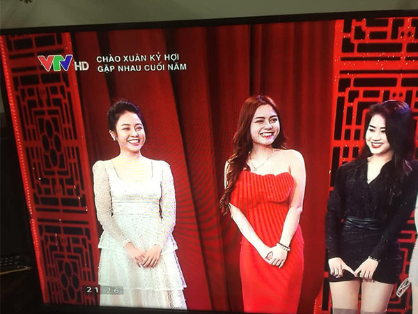 Tiếp đó, Trâm Anh tham gia chương trình truyền hình Gặp nhau cuối năm - Táo Quân 2019 với phân cảnh gợi nhắc về bộ phim Quỳnh búp bê. Nhiều người bày tỏ sự thất vọng trước nhan sắc của Trâm Anh. Họ cho rằng nhan sắc thật của cô khác xa so với hình ảnh đăng tải trên facebook.