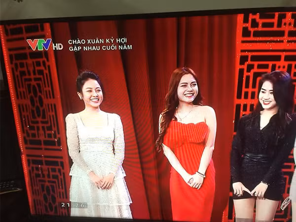 Tiếp đó, Trâm Anh tham gia chương trình truyền hình Gặp nhau cuối năm - Táo Quân 2019 với phân cảnh gợi nhắc về bộ phim Quỳnh búp bê. Nhiều người bày tỏ sự thất vọng trước nhan sắc của Trâm Anh. Họ cho rằng nhan sắc thật của cô khác xa so với hình ảnh đăng tải trên facebook.