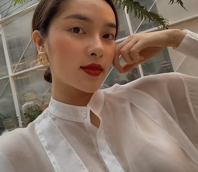 Trước Hoa Hậu Việt Nam 2020, Diệu Linh từng ghi danh tại chương trình thực tế "Vẻ Đẹp Thương Hiệu - The Look" được tổ chức vào năm 2017. Cô lọt vào top 5 gương mặt có số phiếu bầu cao nhất trong vòng online.