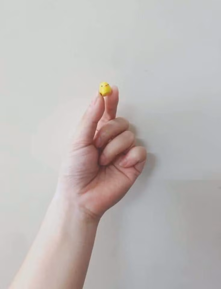 Cụ thể, cô nàng thức đêm thức hôm để săn được một set 5 tượng gà mini để trang trí sân vườn. Hí hửng vì tưởng mua được món hời nhưng đến khi nhận được, N.K.L ngã ngửa khi bên trong hộp chỉ có 1 con gà, thậm chí kích thước của nó còn bé tí hon chẳng khác nào hạt đỗ.