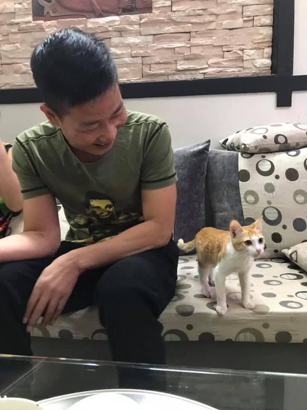 Hình ảnh chú mèo đáng yêu nhập vai "diễn viên đóng thế" cực có tâm khiến dân mạng yêu hết nấc.