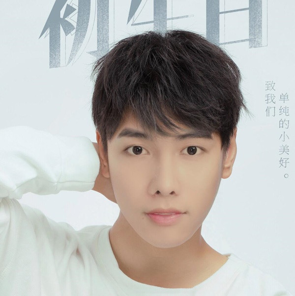 Những tưởng màn thay đổi nhan sắc sẽ đem lại cho chàng trai Trà Vinh sự nghiệp thăng hoa hơn, thế nhưng người hâm mộ bắt đầu quay lưng khi những chiêu trò mua vui dần tẻ nhạt và vẻ xấu lạ của anh chàng đã không còn nữa.