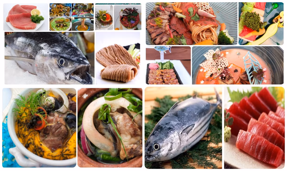 6. Các món ăn từ cá ngừ đại dương (tỉnh Phú Yên): Thành phố Tuy Hòa, tỉnh Phú Yên, được xem là cái nôi của nghề câu cá ngừ đại dương ở Việt Nam. Cá ngừ đại dương của tỉnh Phú Yên nổi tiếng với các thành phần như phi lê, lườn, thăn, mắt cá… được chế biến thành hàng trăm các món ăn đa dạng.