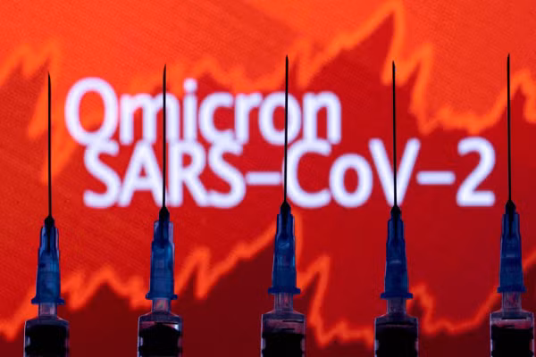 Việt Nam ghi nhận biến thể phụ BA.2.74 của Omicron Viet Nam ghi nhan bien the phu BA.2.74 cua Omicron