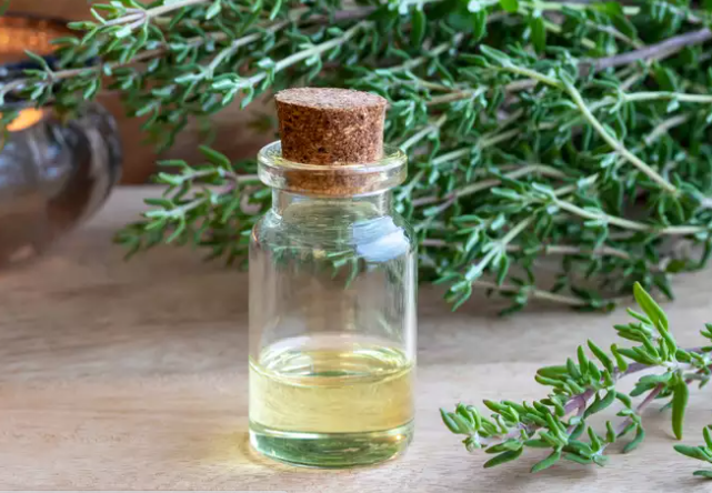5. Tinh dầu cỏ xạ hương: Tinh dầu cỏ xạ hương được sử dụng để điều trị các vấn đề về hô hấp, viêm nhiễm và các vấn đề về dạ dày. Ngoài ra, dầu cỏ xạ hương cũng có một số đặc tính kháng khuẩn. Tuy nhiên, bạn cần lưu ý rằng, chỉ có thể sử dụng dầu cỏ xạ hương bên ngoài. Ảnh: Times Of India.