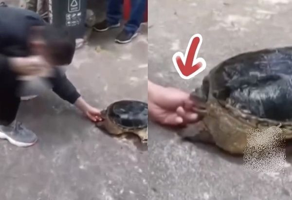 Nghich dai treu rua, chang trai phai cau cuu canh sat