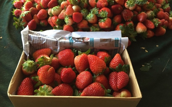 Cham vao khong mua, khach bi chu hang dau tay mang “ro mat“