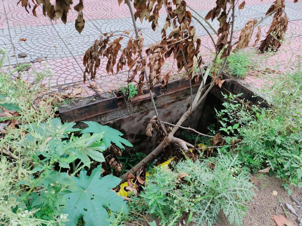 Người dân đã lấy cây que cắm xuống hố để cảnh báo người tham gia giao thông. 