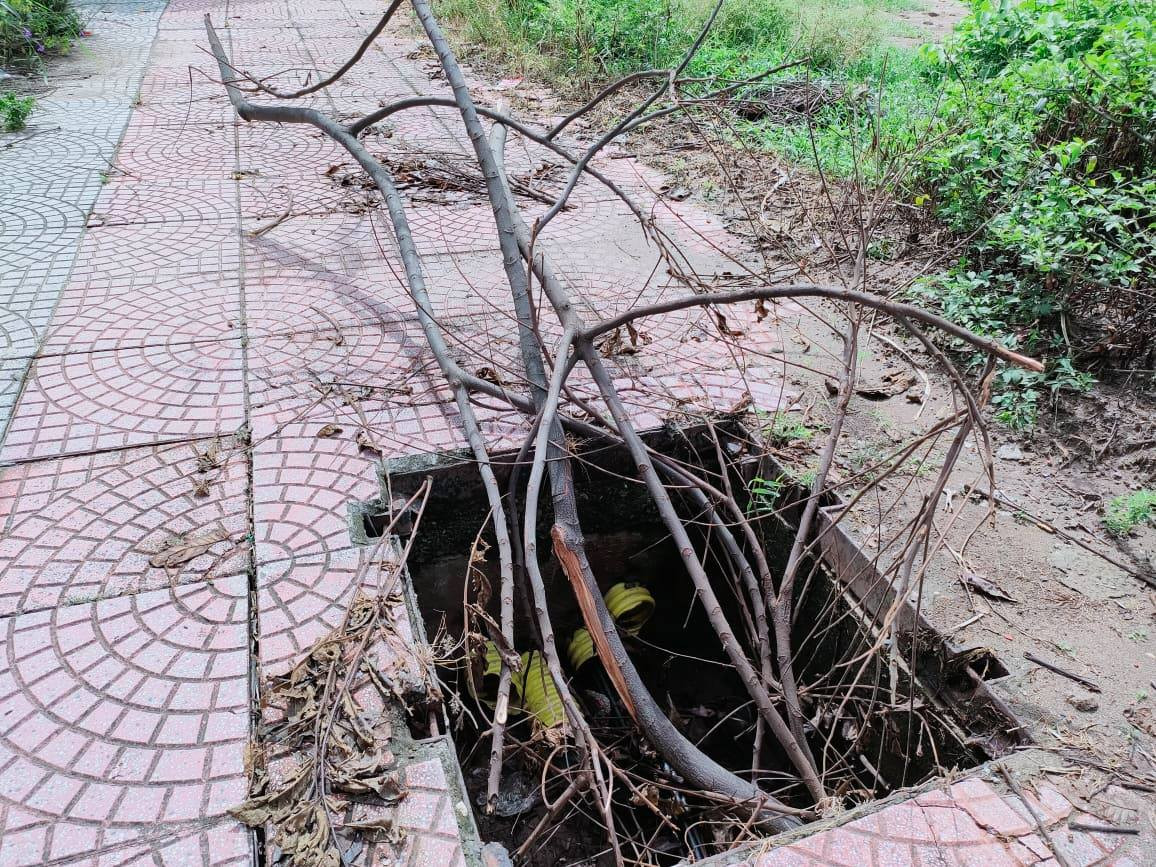 Người dân tự dùng cành cây cắm xuống để cảnh báo cho nhau.