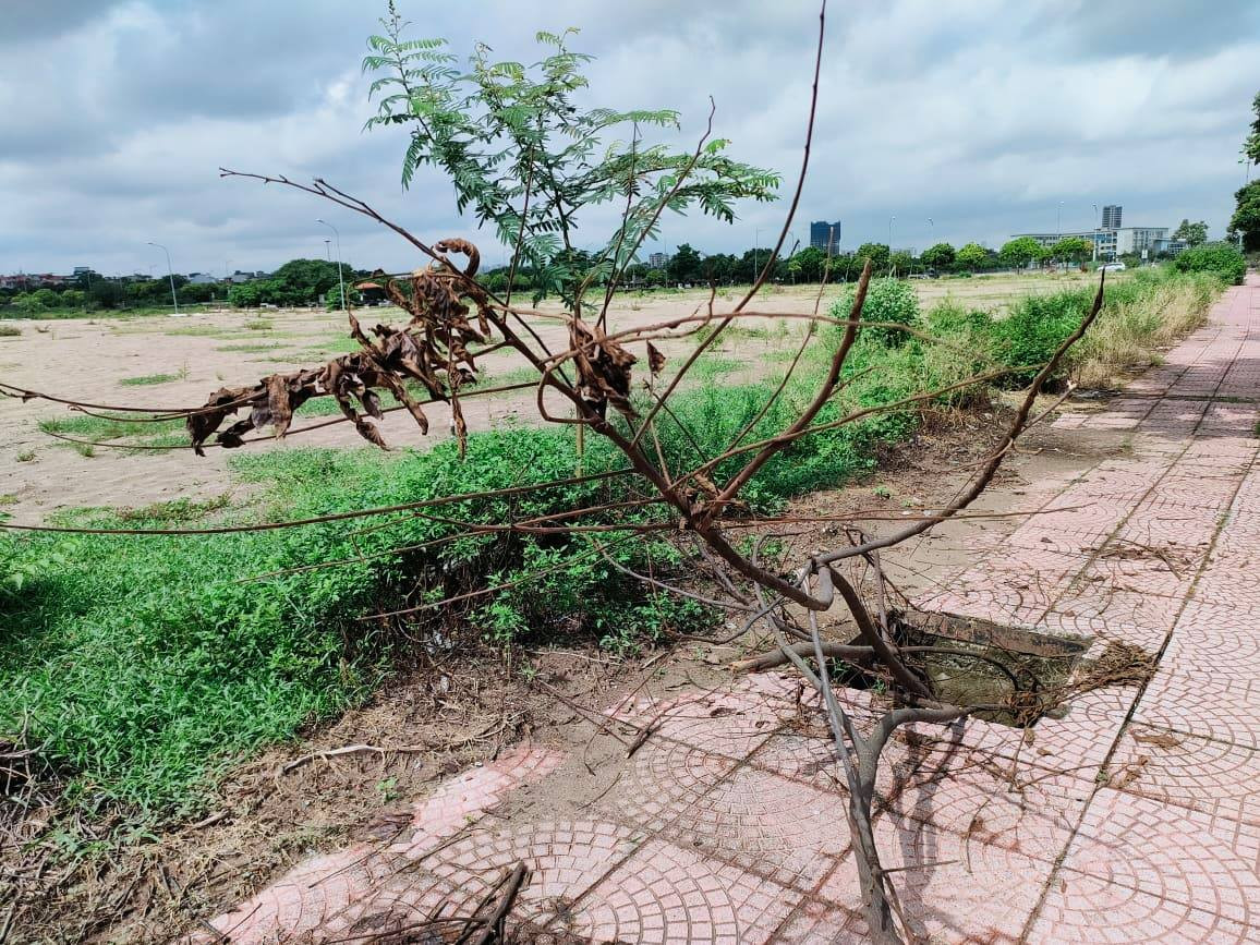 Nếu không sớm xử lý, nguy cơ tai nạn chết người có khả năng tái diễn.