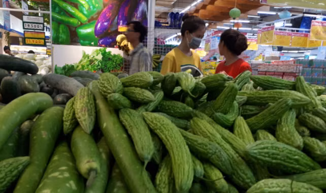 Gia ca tang soc, dan da can het tien mua sam