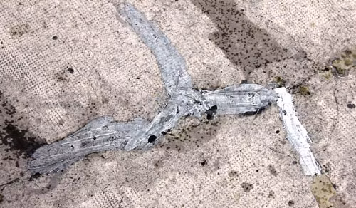 Phat hien hang tram dau vet la o hai ham chui Sai Gon-Hinh-7