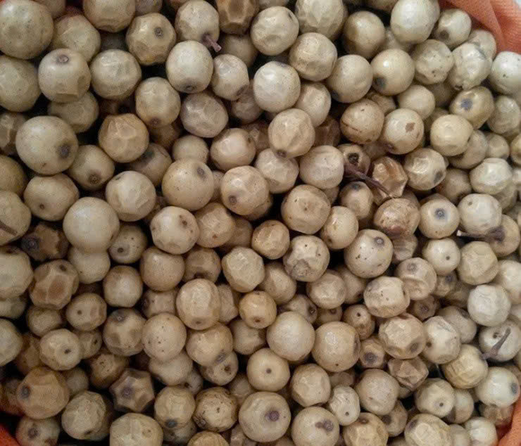 Loại quả dại có hạt được coi là “báu vật của rừng” - Hình 2 Loai qua dai co hat duoc coi la “bau vat cua rung”-Hinh-2