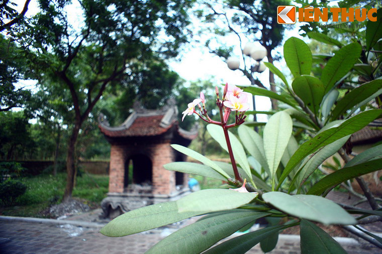 Đền nằm trên một khu đồi rộng lớn mà theo thuyết phong thuỷ mang hình dáng của một con rùa vàng đang bơi về phía mặt trời mọc.