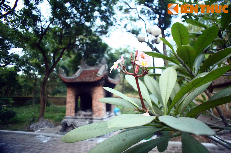 Đền nằm trên một khu đồi rộng lớn mà theo thuyết phong thuỷ mang hình dáng của một con rùa vàng đang bơi về phía mặt trời mọc.