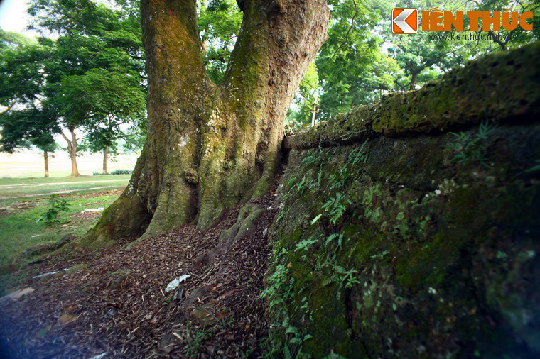 Tường thành ghép từ các phiến đá ong, một vật liệu xây dựng rất phổ biến ở vùng Sơn Tây.