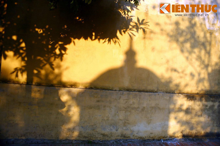 Thân cây cổ thụ được người đời tạc thành bốn vị thần Tứ Pháp gồm Pháp Vũ, Pháp Lôi, Pháp Điện tương ứng với mây, mưa, sấm, chớp và được thờ tại chùa Dâu, chùa Đậu, chùa Tướng và chùa Dàn trong vùng Luy Lâu… Đó chính là nguồn gốc của hệ thống Tứ Pháp trong vùng.