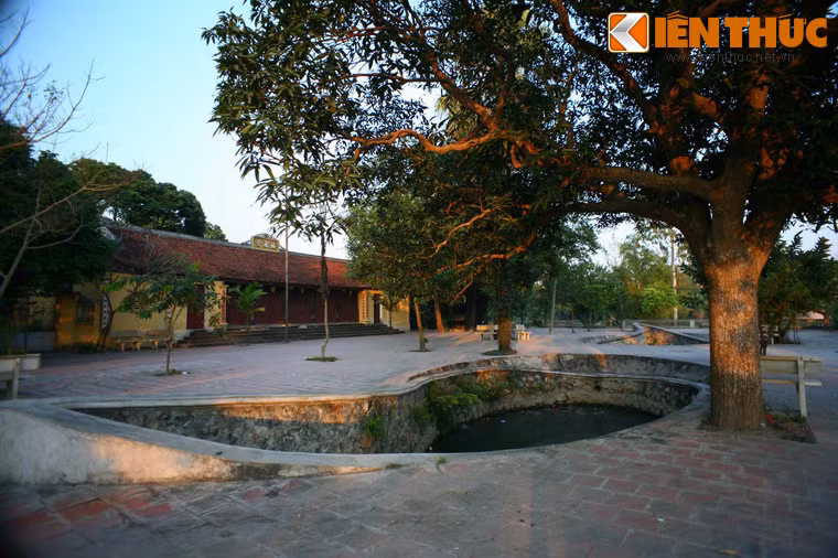 Chùa là nơi thờ Phật mẫu Man Nương, gắn liền với truyền thuyết về đức Khâu Đà La – một vị tổ của đạo Phật. Tương truyền, vào đời Hiến Đế nhà Hán (168 - 189), vị Thánh tăng Khâu Đà La trong hành trình giảng đạo đã đến vùng đất cổ Luy Lâu.