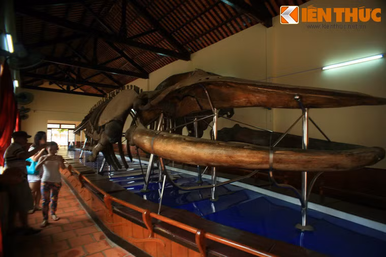 Giai thoại trong vùng kể lại rằng, sau khi xây xong dinh Vạn Thủy Tú có một Cá Ông rất lớn trôi dạt vào bờ biển, cách dinh không đầy 50 mét. Do Ông quá lớn, vạn Thủy Tú đã phải nhờ đến sức lực của các vạn khác ở địa phương. Mất đến 2 ngày, các trai tráng mới đưa Ông vào mai táng được.