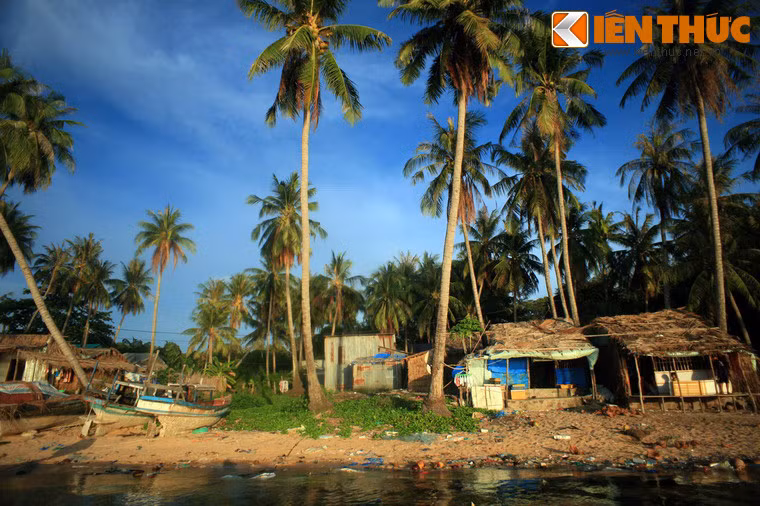 Ven bờ biển là những ngôi nhà đơn sơ nằm dưới bóng dừa.