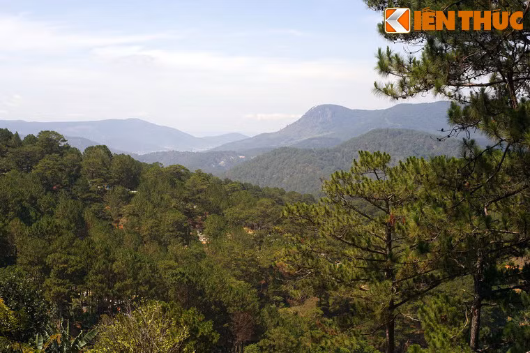 Hay những triền núi mấp mô được bao phủ bời rừng thông hoang sơ.