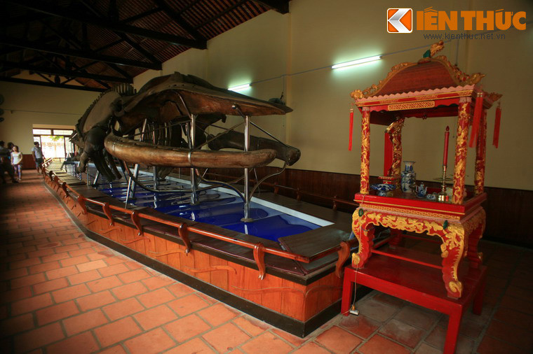 Đặc biệt, vạn Thủy Tú đang lưu giữ bộ xương cá voi lớn nhất Việt Nam với chiều dài 22 mét, nặng 65 tấn. Bộ xương này có tuổi đời hơn 2 thế kỷ, gắn với lịch sử ra đời của vạn... Năm 1996, vạn Thủy Tú đã được xếp hạng Di tích lịch sử cấp quốc gia.