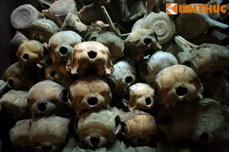 Vạn có một phòng lưu trữ hàng trăm bộ hài cốt của các "Ông", "Bà" và "Cậu", là những loài cá lớn như cá voi, cá heo…, được coi như những hải thần phò trợ người đi biển. Các bộ hài cốt này được thu thập khi cá tấp vào bờ để "luỵ" (chết), hoặc chui vào lưới ngư phủ khi sắp "luỵ".