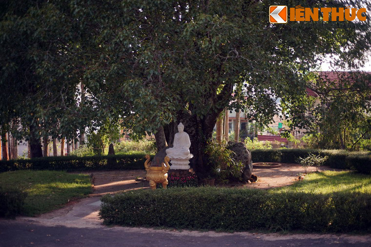 Các công trình của chùa Linh Sơn được bài trí hài hòa trong một không gian rộng rãi, khoáng đạt, khiến du khách như lạc vào một cõi Phật thanh tịnh ngay giữa trung tâm thành phố Đà Lạt...