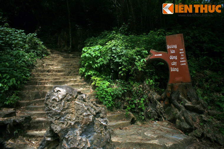 Nằm trong quần thể danh thắng suối cá thần Cẩm Lương (xã Cẩm Lương, huyện Cẩm Thủy, tỉnh Thanh Hóa), động Cây Đăng là một hang động độc đáo mới mở cửa cho du khách những năm gần đây.