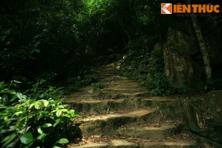 Lối lên động men theo sườn núi Trường Sinh, xuyên qua rừng nguyên sinh với nhiều loại cây rừng rậm rạp.