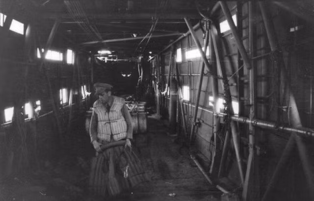 Bên trong khoang hàng Me 323 trông khá đơn sơ, có phần “yếu ớt”. Để giảm tối đa trọng lượng nhằm giúp động cơ chịu được sức nặng "vô đối" thời bấy giờ, người Đức mạo hiểm chế tạo Me 323 với cánh được làm gỗ dán và vải, trong khi thân máy bay được hình thành với ống kim loại cùng thanh gỗ rồi phủ vải...Nguồn ảnh: WHO