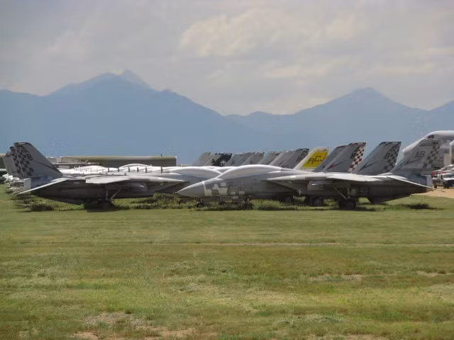 F-14 bị loại khỏi biên chế chiến đấu của quân đội Mỹ từ 2006. Chúng là mẫu chiến đấu cơ cánh cụp cánh xòe, có khả năng di chuyển với vận tốc tối đa 2.485 km/h cùng tải trọng cất cánh tối đa 33.720 kg. Cả Không quân và Hải quân Mỹ đều sử dụng mẫu chiến đấu cơ này.