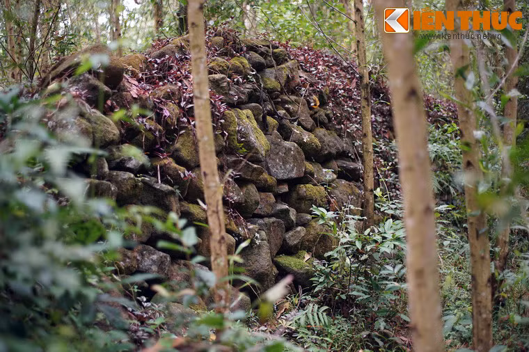 Sau nhiều thập niên bị bỏ hoang, tòa thành đá đã bị rừng rậm bao phủ.