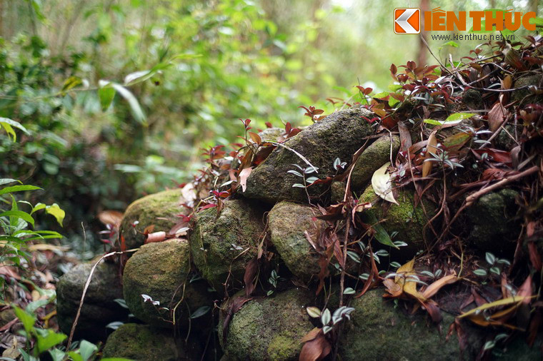 Qua các hiện vật sau đào thám sát ở hiện trường, có khả năng làng được hình thành vào thế kỷ 15. Những cư dân Việt đến đây khẩn hoang lập làng dưới triều đại Hồ Quý Ly.