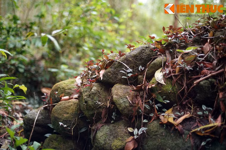 Qua các hiện vật sau đào thám sát ở hiện trường, có khả năng làng được hình thành vào thế kỷ 15. Những cư dân Việt đến đây khẩn hoang lập làng dưới triều đại Hồ Quý Ly.