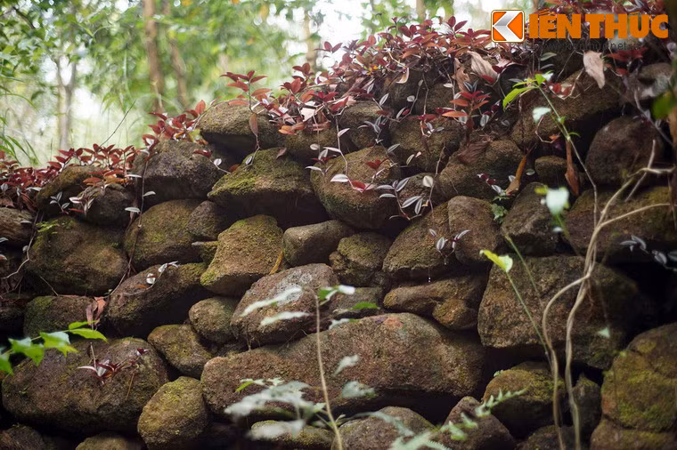 Sau năm 1945, một trận dịch bệnh lớn đã xảy ra khiến nhiều người trong làng cổ Thiên Xuân bị chết. Những người sống sót phải di chuyển xuống vị trí mới cách đó không xa.