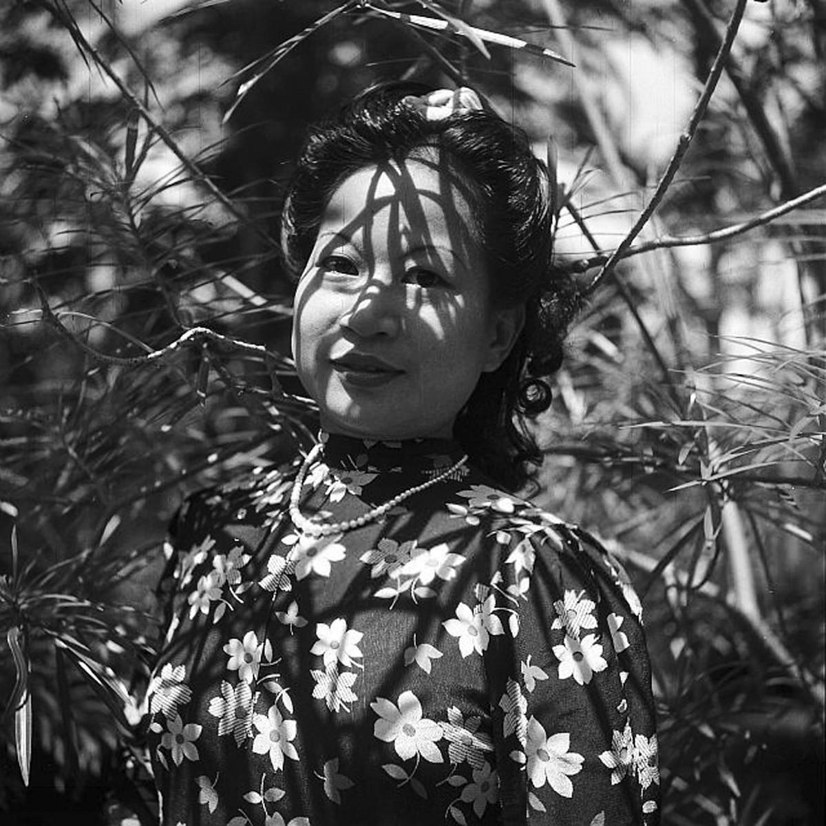 Người đẹp Việt dưới tán cây ngày nắng. Ảnh: Michel Huet /Gamma-Rapho.