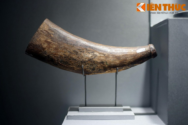 Chiếc tù và được ông Võ Văn Thực (phường 14, quận Tân Bình) dùng để báo động cho nhân dân trong vùng mỗi khi có giặc đến trong giai đoạn cách mạng 1940-1845 ở Sài Gòn.