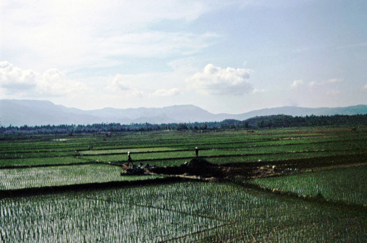 Khung cảnh đồng quê ở Bình Định. Ảnh: Steve Simpson/ 19engrvn.