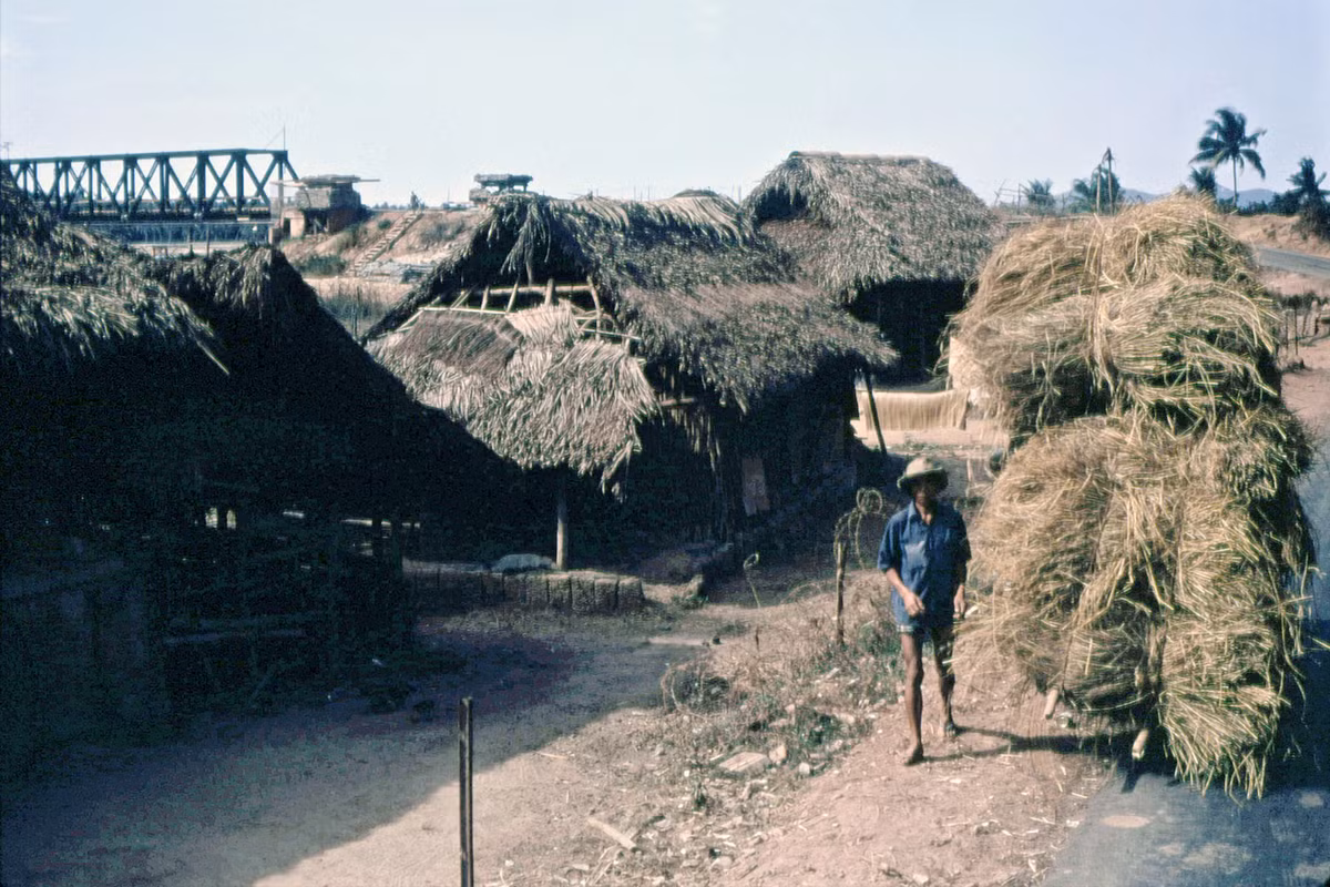 Người nông dân bên chiếc xe chở rơm rạ ở Quốc lộ 1. Ảnh: Steve Simpson/ 19engrvn.