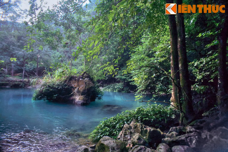 Có thể nói, trong giai đoạn Bác Hồ ở Pác Bó, suối Lê Nin vừa là nguồn nước giúp duy trì cuộc sống vật chất, vừa là suối nguồn nuôi dưỡng tinh thần cách mạng của Người.