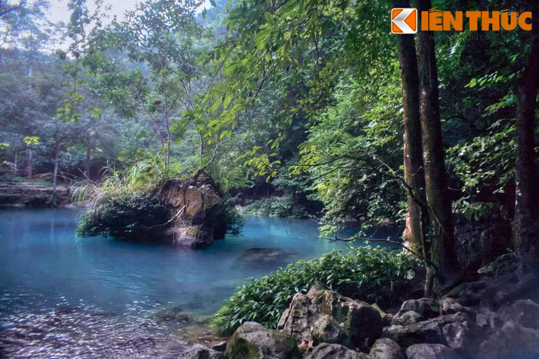 Có thể nói, trong giai đoạn Bác Hồ ở Pác Bó, suối Lê Nin vừa là nguồn nước giúp duy trì cuộc sống vật chất, vừa là suối nguồn nuôi dưỡng tinh thần cách mạng của Người.