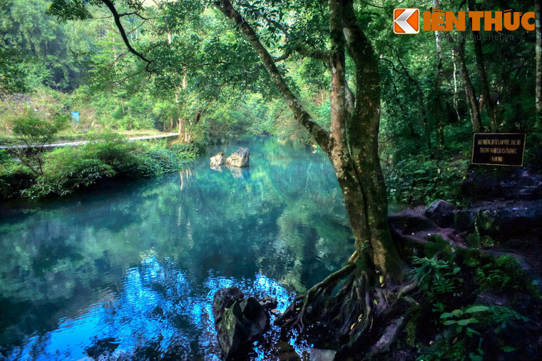 Tại chiến khu Pác Bó, Hồ Chủ tịch đã sống và làm việc trong hang Cốc Bó. Người đặt tên dòng suối trước cửa hang là suối Lê Nin.