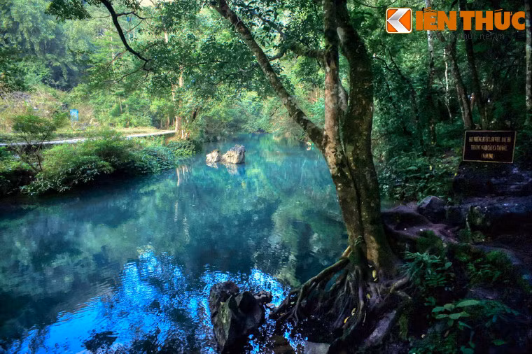 Tại chiến khu Pác Bó, Hồ Chủ tịch đã sống và làm việc trong hang Cốc Bó. Người đặt tên dòng suối trước cửa hang là suối Lê Nin.