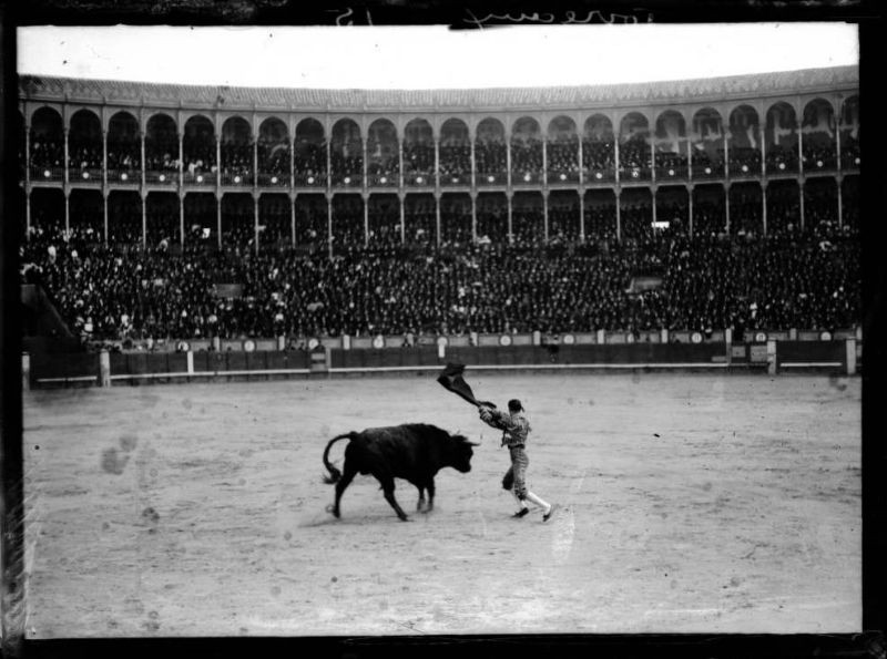 Một trận đấu bò tót ở trường đấu Madrid, thur đô Tây Ban Nha năm 1908.
