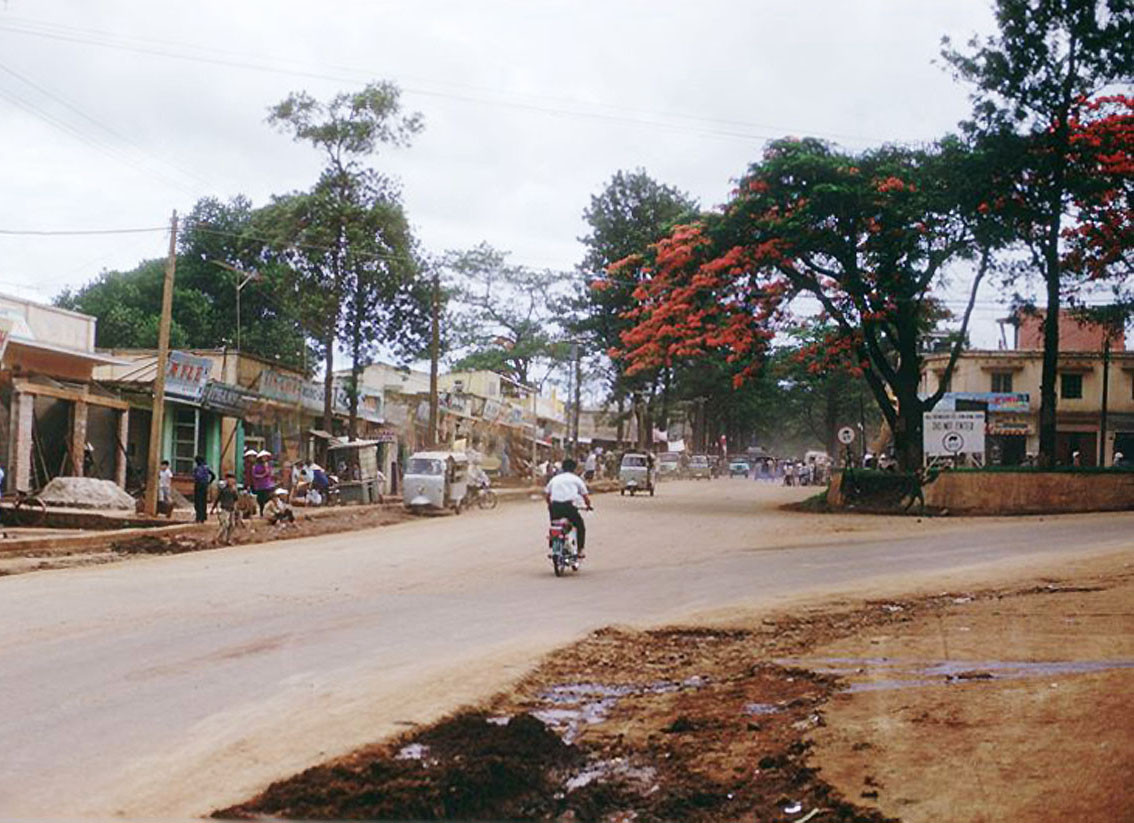 Một góc phố Pleiku được nhuộm đỏ bởi sắc hoa phượng mùa hạ. Ảnh: 585thengrco.com.