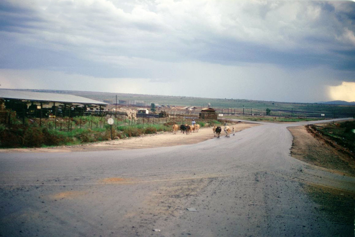 Cảnh quan hoang vu ở ngoại vi thị xã Pleiku thời chiến tranh Việt Nam. Ảnh: 585thengrco.com.