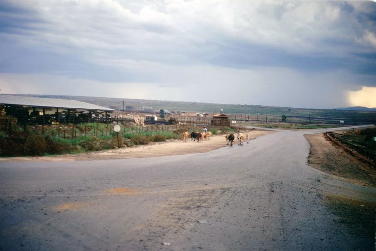 Cảnh quan hoang vu ở ngoại vi thị xã Pleiku thời chiến tranh Việt Nam. Ảnh: 585thengrco.com.