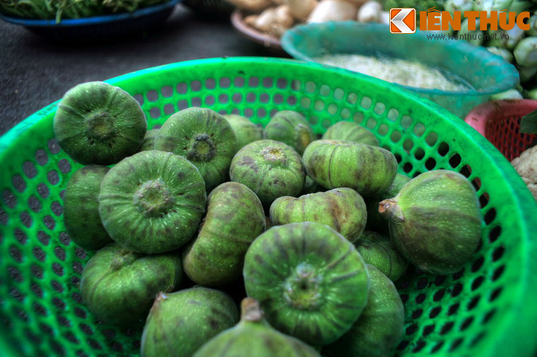 Đây là nguồn cung cấp nguyên liệu ẩm thực phong phú cho món ăn thường nhật của các gia đình cũng như sơn hào hải vị cho các nhà hàng, khách sạn quốc tế ở Huế.